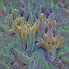 n12985857 coral fungus